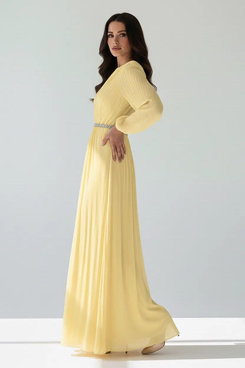 Balloon Sleeves Plisse Organza Dress