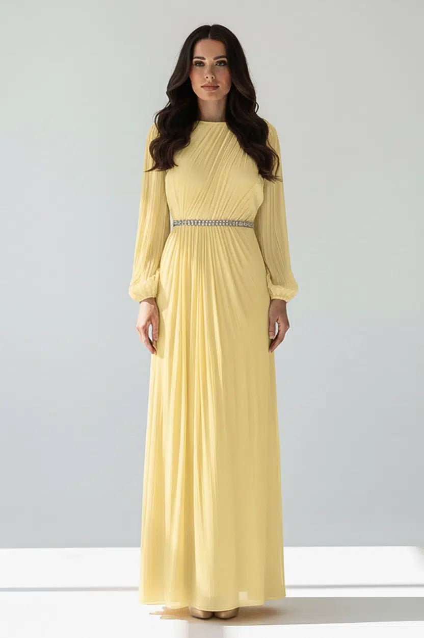 Balloon Sleeves Plisse Organza Dress