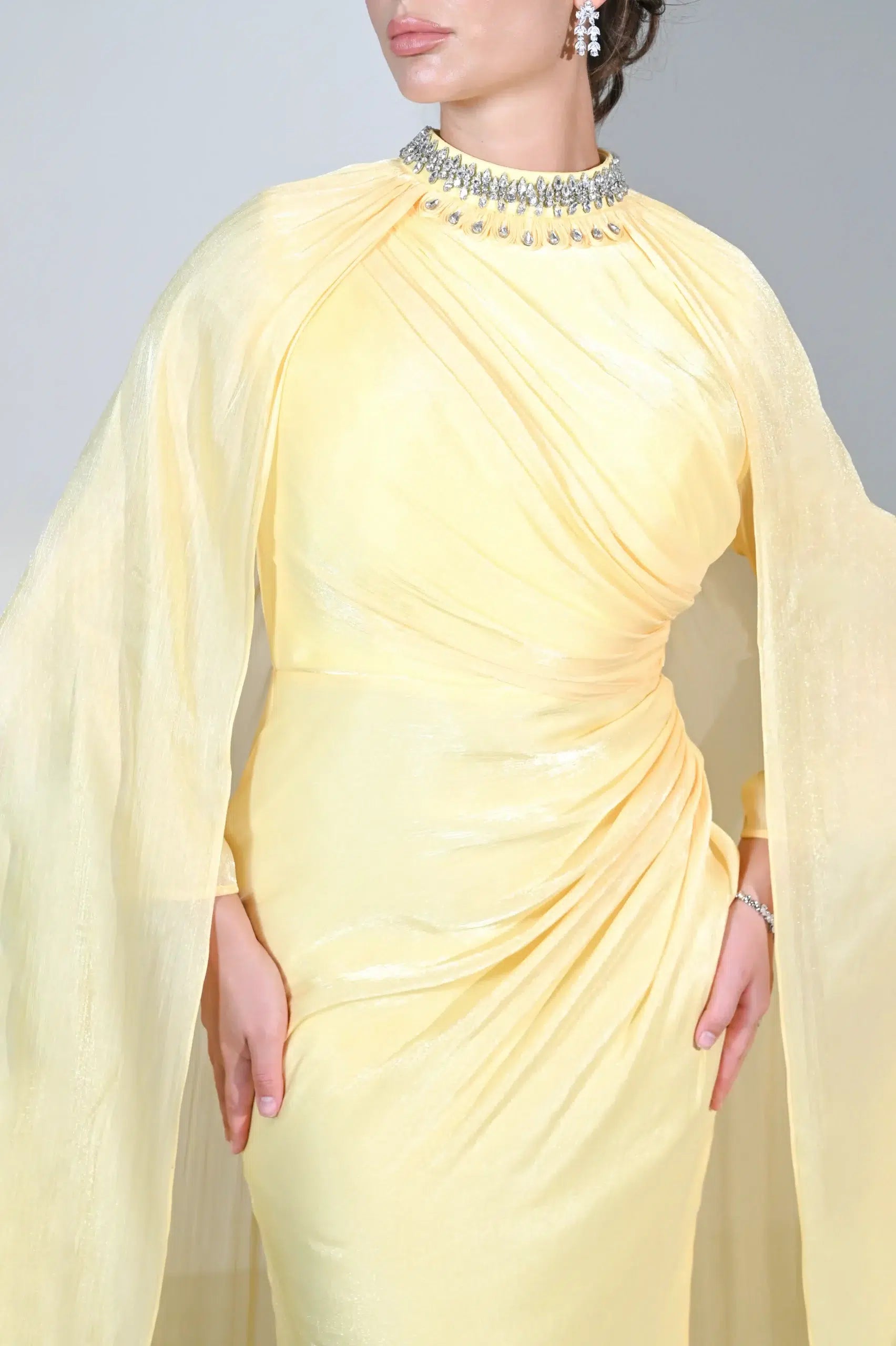 Embellished Neck Gathered Organza Dress