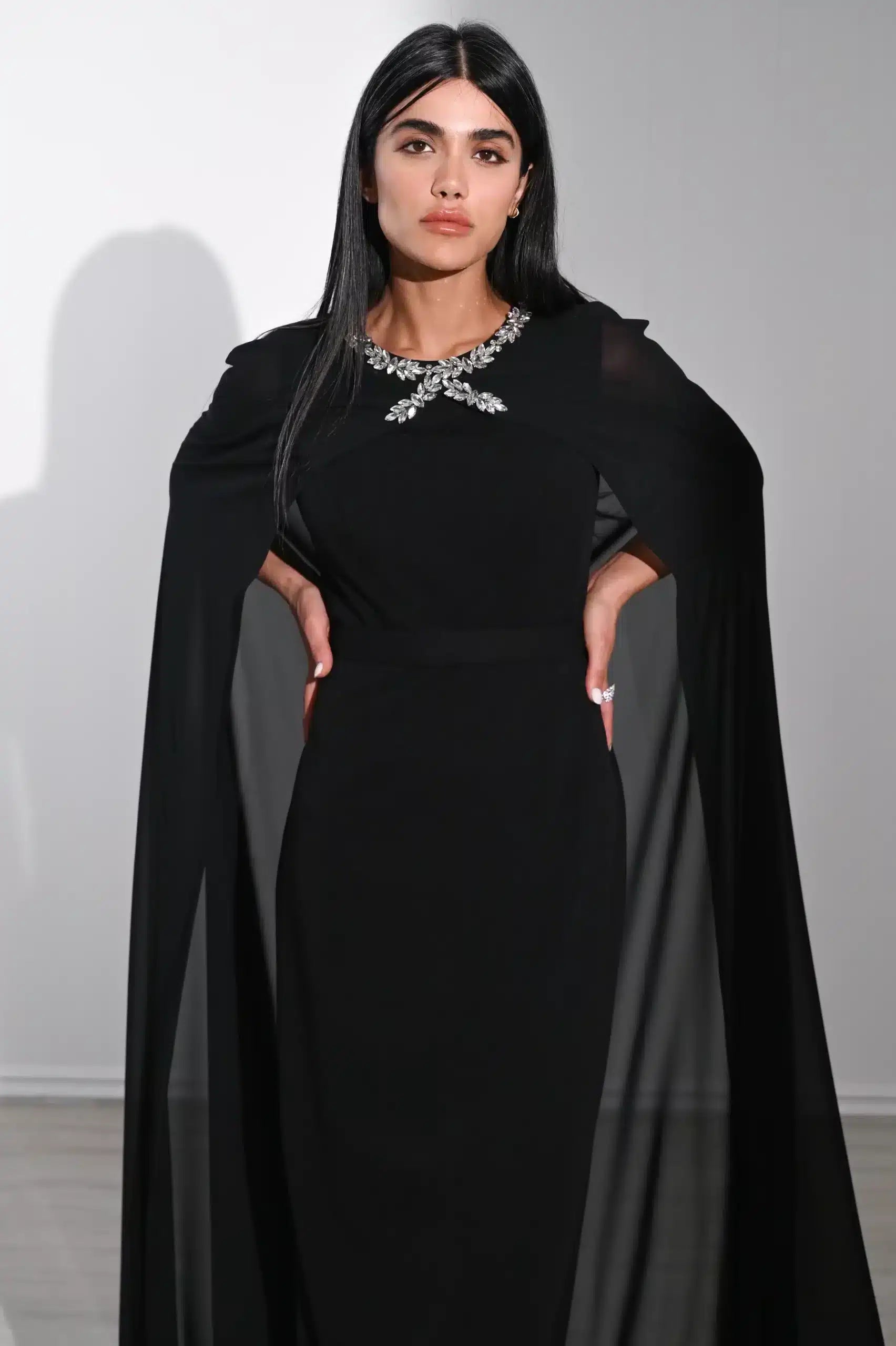 Crystal Neck Flute Sleeve Crepe Dress