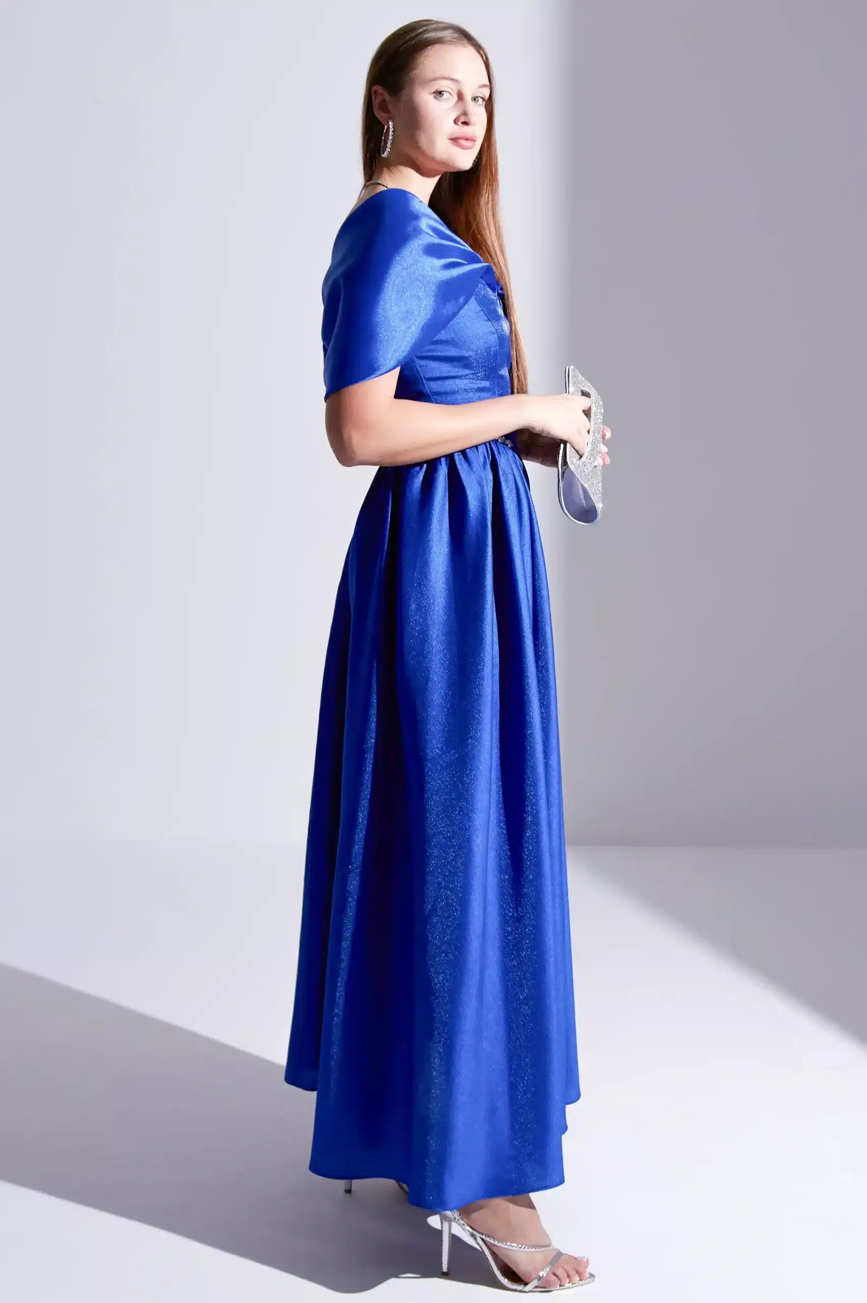 Pleated Panels Organza Dress