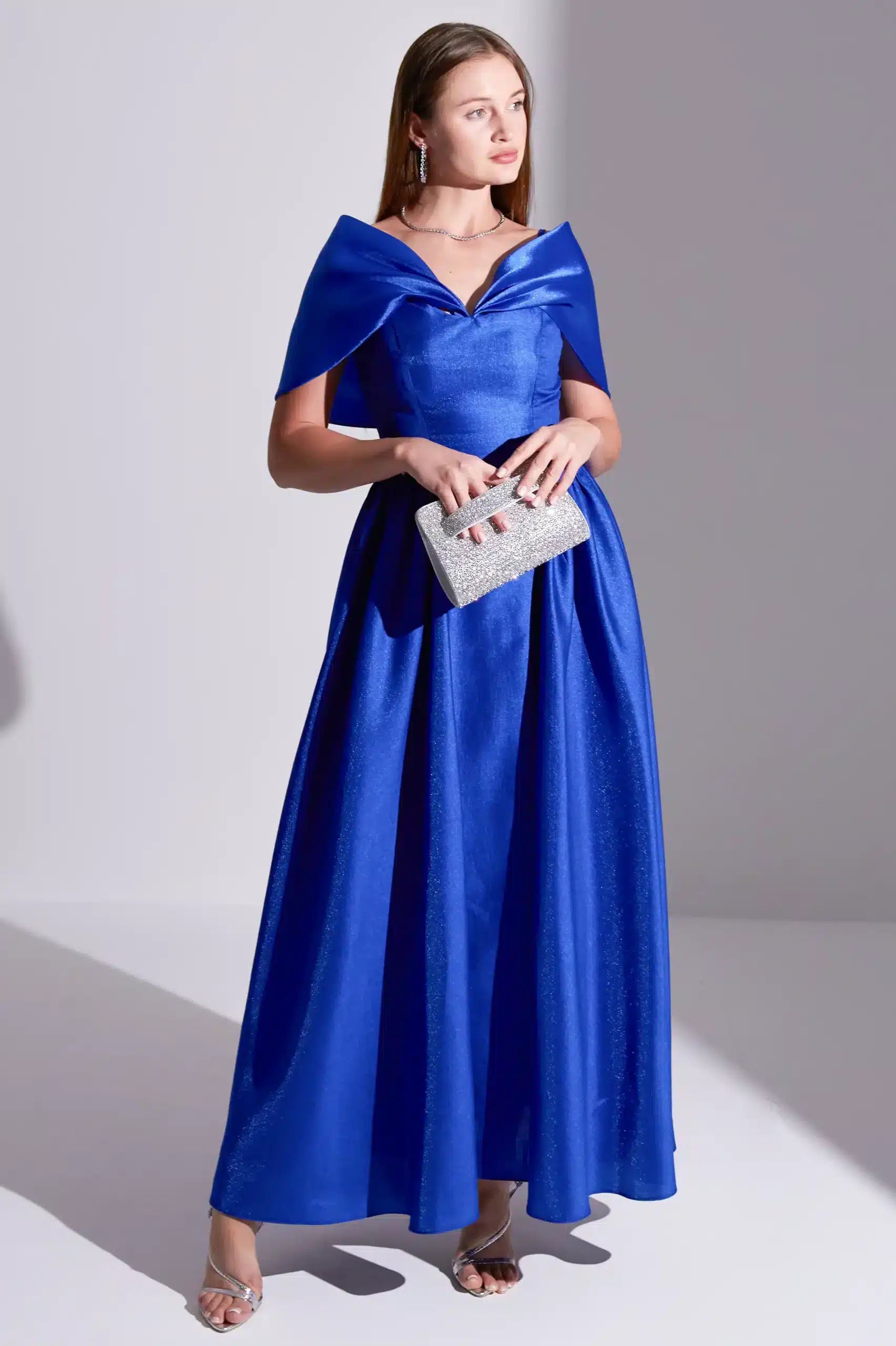 Pleated Panels Organza Dress